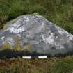 Digital photograph of panel, from Scotland's Rock Art project, North Uist, Buaile Risary, Ben Risary, Western Isles