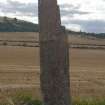 Digital photograph of rock art panel context, Scotland's Rock Art Project, Easter Broomhouse, East Lothian