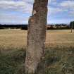 Digital photograph of panel to north, from Scotland’s Rock Art Project, Easter Broomhouse, East Lothian