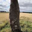 Digital photograph of panel to west, from Scotland’s Rock Art Project, Easter Broomhouse, East Lothian