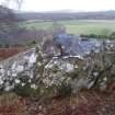 Digital photograph of panel to north, from Scotland's Rock Art Project, Milton of Balnapoul, Sluggan, Highland