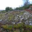 Digital photograph of panel to east, from Scotland's Rock Art Project, Milton of Balnapoul, Sluggan, Highland