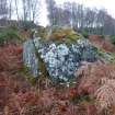 Digital photograph of panel to south, from Scotland's Rock Art Project, Milton of Balnapoul, Sluggan, Highland