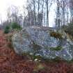 Digital photograph of panel to west, from Scotland's Rock Art Project, Milton of Balnapoul, Sluggan, Highland