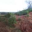 Digital photograph of panorama, from Scotland's Rock Art Project, Milton of Balnapoul, Sluggan, Highland