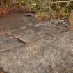 Digital photograph of rock art panel context, Scotland's Rock Art Project, Castleton 12, Stirling