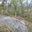 Digital photograph of rock art panel context, Scotland's Rock Art Project, Castleton 12, Stirling