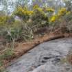 Digital photograph of rock art panel to north east, Scotland's Rock Art Project, Castleton 12, Stirling