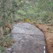 Digital photograph of panel to west, from Scotland's Rock Art Project, Castleton 12, Stirling