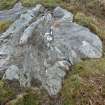 Digital photograph of panel, from Scotland's Rock Art Project, Falls of Lochay 1, Glen Lochay, Stirling