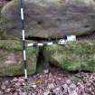 Digital photograph of rock art panel context, Scotland's Rock Art Project, Leckie 1, Stirling