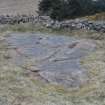 Digital photograph of rock art panel context, Scotland's Rock Art Project, Blackshaw, Ayrshire