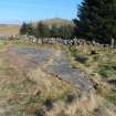 Digital photograph of rock art panel context, Scotland's Rock Art Project, Blackshaw, Ayrshire