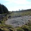 Digital photograph of rock art panel context, Scotland's Rock Art Project, Blackshaw, Ayrshire