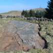 Digital photograph of rock art panel context, Scotland's Rock Art Project, Blackshaw, Ayrshire