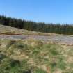 Digital photograph of rock art panel context, Scotland's Rock Art Project, Blackshaw, Ayrshire