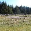 Digital photograph of rock art panel context, Scotland's Rock Art Project, Blackshaw, Ayrshire