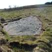 Digital photograph of rock art panel context, Scotland's Rock Art Project, Blackshaw, Ayrshire