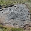 Digital photograph of rock art panel context, Scotland's Rock Art Project, Blackshaw, Ayrshire