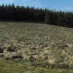 Digital photograph of rock art panel context, Scotland's Rock Art Project, Blackshaw, Ayrshire