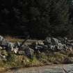 Digital photograph of rock art panel context, Scotland's Rock Art Project, Blackshaw, Ayrshire