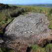 Digital photograph of rock art panel context, Scotland's Rock Art Project, Diamond Hill, Ayrshire