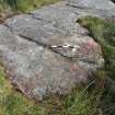 Digital photograph of rock art panel context, Scotland's Rock Art Project, Diamond Hill, Ayrshire