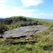 Digital photograph of rock art panel context, Scotland's Rock Art Project, Diamond Hill, Ayrshire