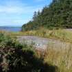 Digital photograph of panel to north, Scotland's Rock Art Project, Diamond Hill, Ayrshire
