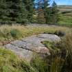 Digital photograph of panel to east, Scotland's Rock Art Project, Diamond Hill, Ayrshire