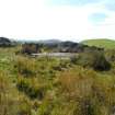 Digital photograph of rock art panel context, Scotland's Rock Art Project, Diamond Hill, Ayrshire