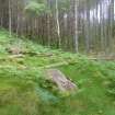 Digital photograph of rock art panel context, Scotland's Rock Art Project, Achadh Mor, Highland