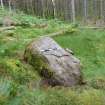 Digital photograph of panel to north-east, from Scotland's Rock Art Project, Achadh Mor, Highland