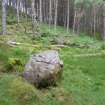 Digital photograph of panel to north-west, from Scotland's Rock Art Project, Achadh Mor, Highland