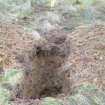 Watching brief, Pole number 20 as excavated looking NW, Mark Farm, Pinwherry, South Ayrshire