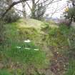 Digital photograph of panel before cleaning, Scotland's Rock Art Project, Castleton 10, Stirling