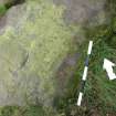 Digital photograph of rock art panel context, Scotland's Rock Art Project, Castleton 10, Stirling