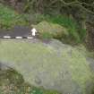 Digital photograph of rock art panel context, Scotland's Rock Art Project, Castleton 10, Stirling