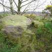 Digital photograph of panel in context with scale, Scotland's Rock Art Project, Castleton 10, Stirling