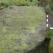 Digital photograph of panel to west, Scotland's Rock Art Project, Castleton 10, Stirling