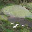 Digital photograph of panel to south-east, Scotland's Rock Art Project, Castleton 10, Stirling