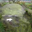 Digital photograph of panel to west, Scotland's Rock Art Project, Castleton 10, Stirling