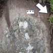 Digital photograph of rock art panel context, Scotland's Rock Art Project, Cairnholy 12, Dumfries and Galloway