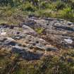 Digital photograph of rock art panel context, Scotland's Rock Art Project, Cairnholy 12, Dumfries and Galloway