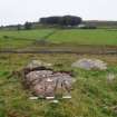 Digital photograph of panel to west, from Scotland’s Rock Art Project, Cairnholy 12, Dumfries and Galloway