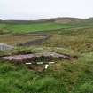 Digital photograph of panel to north-west, from Scotland’s Rock Art Project, Cairnholy 12, Dumfries and Galloway