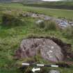 Digital photograph of panel to east, from Scotland’s Rock Art Project, Cairnholy 12, Dumfries and Galloway