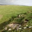 Digital photograph of panel to north, from Scotland’s Rock Art Project, High Banks 3, Dumfries and Galloway