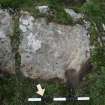 Digital photograph of perpendicular to carved surface(s), from Scotland’s Rock Art Project, High Banks 3, Dumfries and Galloway