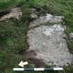 Digital photograph of panel, from Scotland’s Rock Art Project, High Banks 3, Dumfries and Galloway